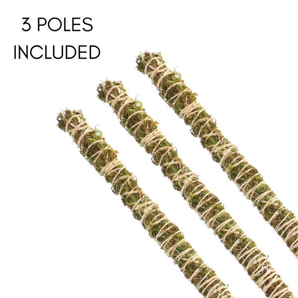 Mossify® Bendable Moss Pole™ THIN - 3 Pack