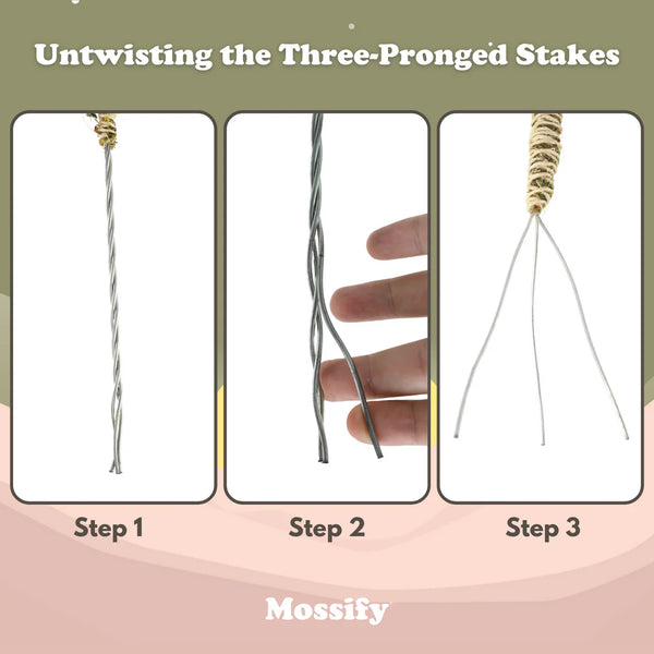 Mossify® Bendable Moss Pole™ THIN - 3 Pack