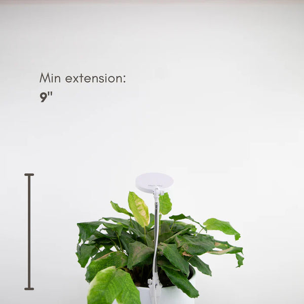 Mossify® Adjustable LED Plant Light