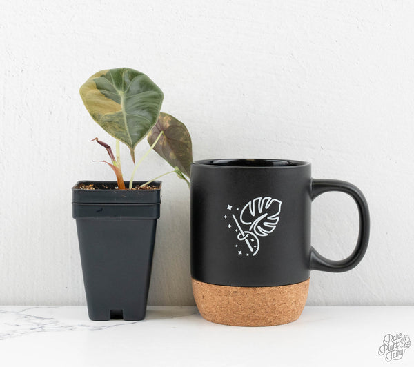 Alocasia Cuprea Gold/Aurea/Caramel Latte Variegated (wk11-UE)