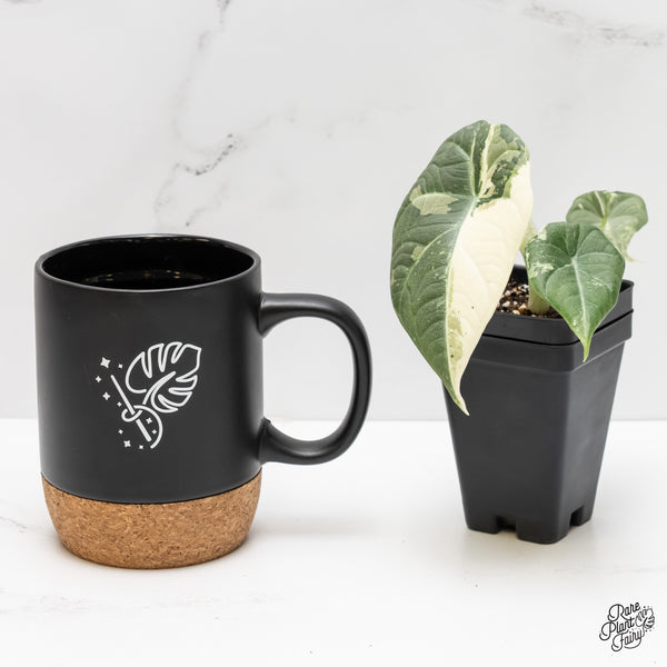 Alocasia Maharani Albo Variegated (wk3-Q)