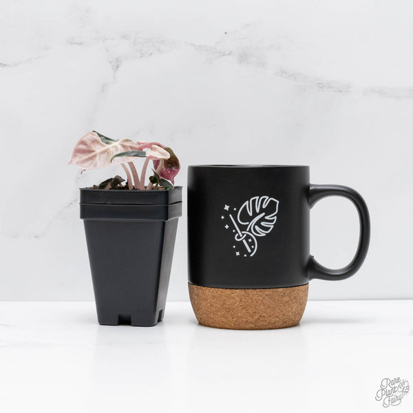 Alocasia 'Balloon Heart' Pink Variegated (wk10-D)