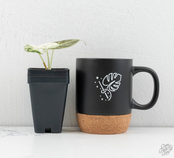 Alocasia 'Black Velvet Ninja' Pink Variegated (wk12-UZ) *Corm Grown*