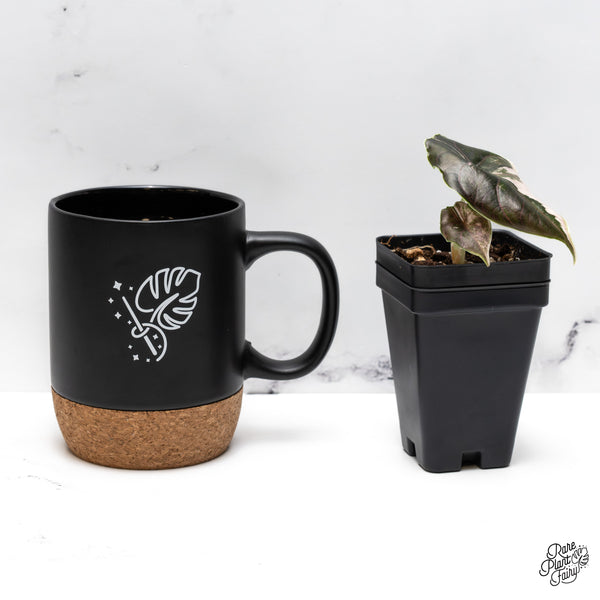 Alocasia Azlanii Pink Variegated (wk43-K)