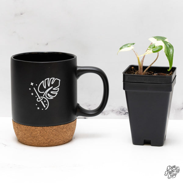 Alocasia Macrorrhiza 'Stingray' Albo Variegated (wk46-I)