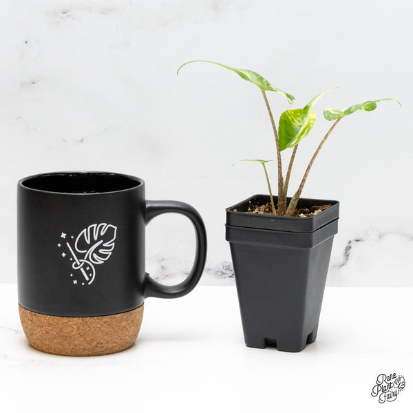 Alocasia Macrorrhiza 'Stingray' Albo Variegated (wk51-D)