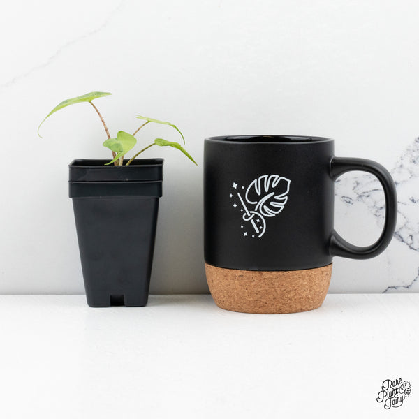 Alocasia Macrorrhiza 'Stingray' Aurea Variegated (wk43-U)