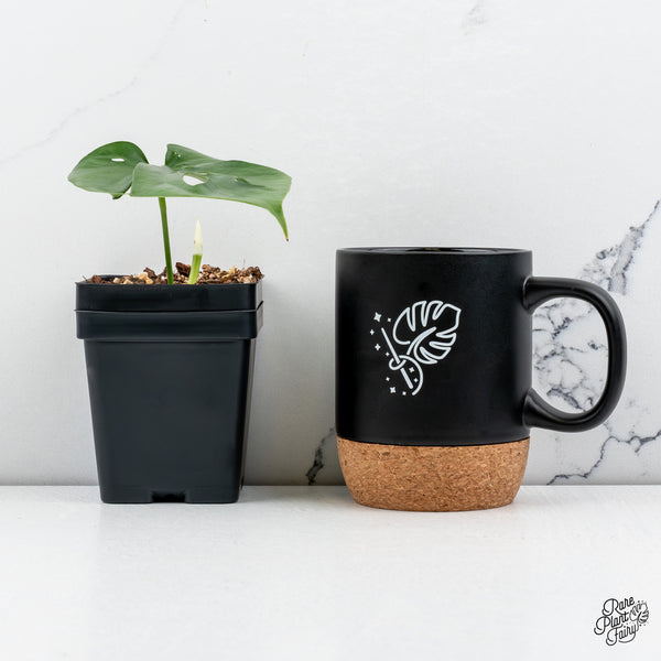 Amydrium sp. NOID (wk43-I)