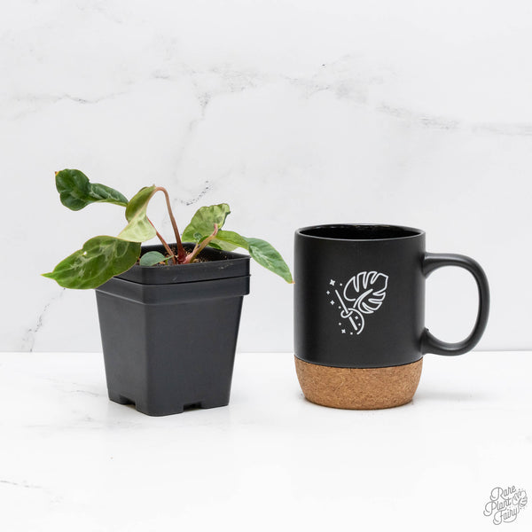 Anthurium NSE Red Crystallinum x Antolakii (BVEP) (wk10-C) *Blister Variegation*