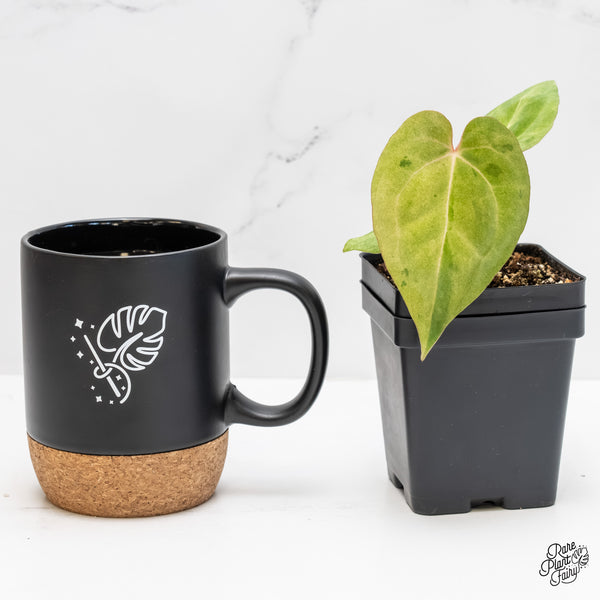 Anthurium sp. "RPF Living Wall" Variegated (wk4-UT)