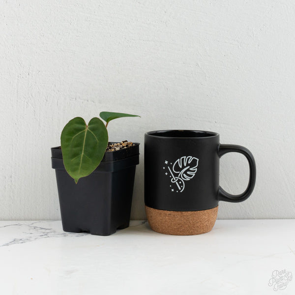 Anthurium 'Wuhoo's First Night' x Carlablackiae *Grower’s Choice*