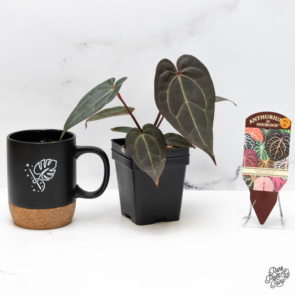 Anthurium Red Velvet Cake '24' x Zara '29' by DocBlock® (wk47-Q)