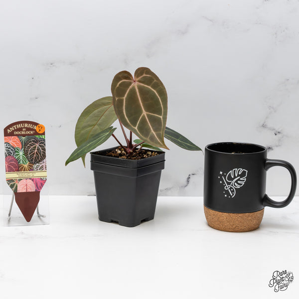 Anthurium Red Velvet Cake '24' x Zara '29' by DocBlock® (wk47-Y)