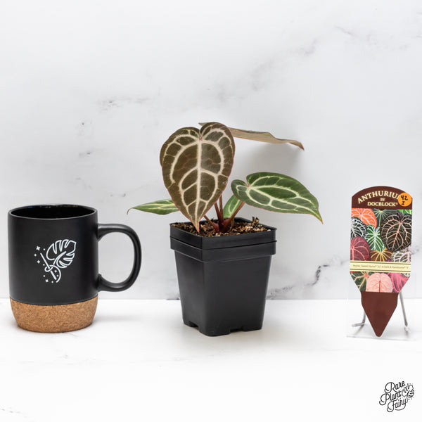 Anthurium Home, Sweet Home '32' x Dark & Handsome '9' by DocBlock® (wk42-I)