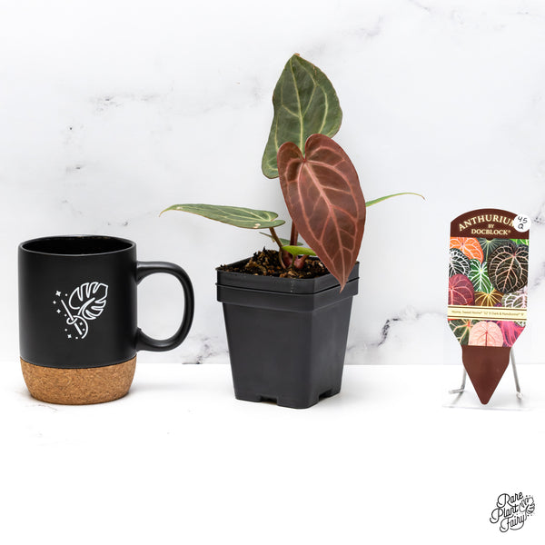 Anthurium Home, Sweet Home '32' x Dark & Handsome '9' by DocBlock® (wk45-Q)