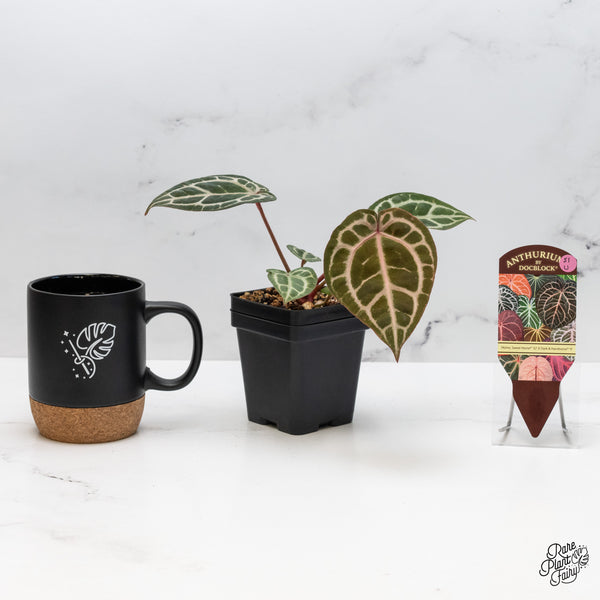 Anthurium Home, Sweet Home '32' x Dark & Handsome '9' by DocBlock® (wk51-U)