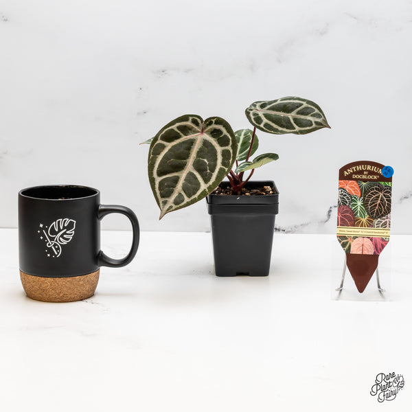 Anthurium Home, Sweet Home '32' x Dark & Handsome '9' by DocBlock® (wk52-N)