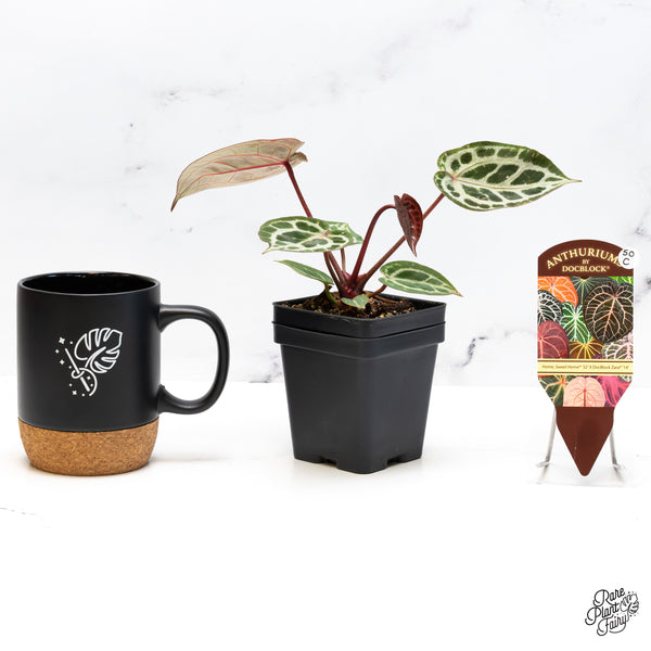 Anthurium Home, Sweet Home '32' x Zara '14' by DocBlock® (wk50-C)