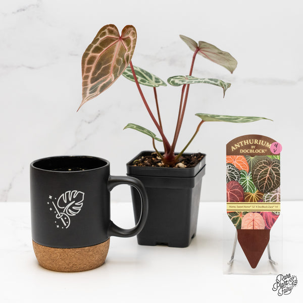 Anthurium Home, Sweet Home '32' x Zara '14' by DocBlock® (wk4-V)