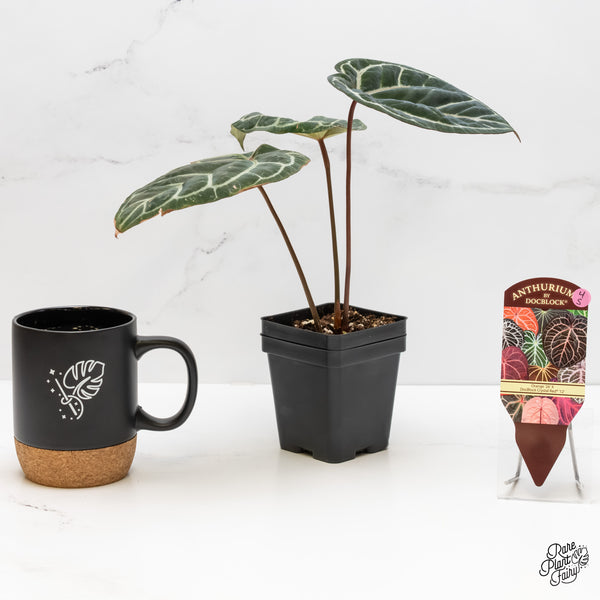 Anthurium Orange '26' x DocBlock Crystal Red '12' by DocBlock® (wk4-S)