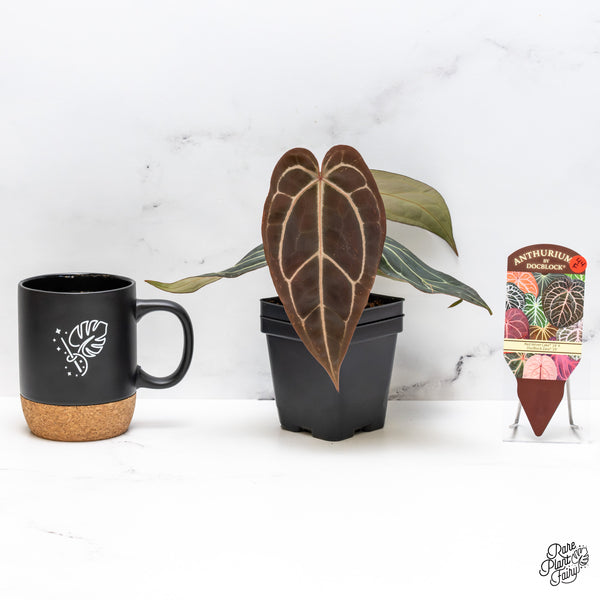 Anthurium Red Velvet Cake '24' x Zara '29' by DocBlock® (wk44-F)