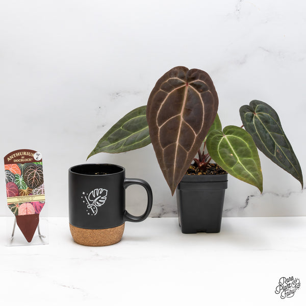 Anthurium Red Velvet Cake '24' x Zara '29' by DocBlock® (wk45-R)