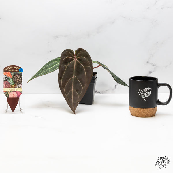 Anthurium Red Velvet Cake '24' x Zara '29' by DocBlock® (wk52-O)