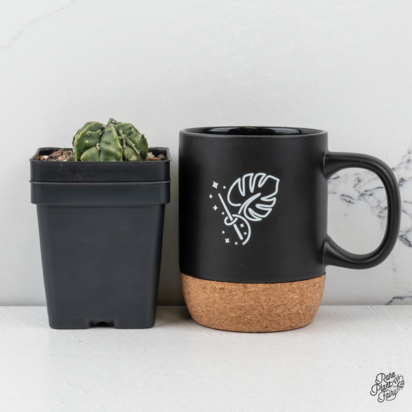 Astrophytum Myriostigma 'Fukuryu' Cactus (wk45-B)