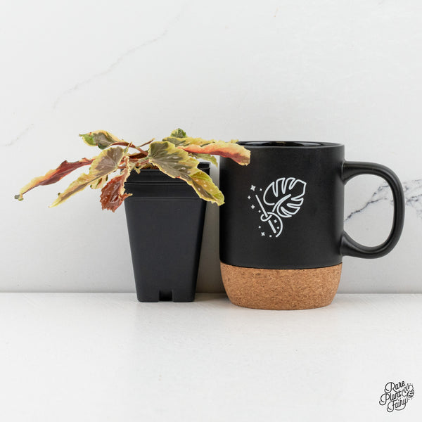 Begonia 'Dainty Spray' Sport Variegated (wk50-E)