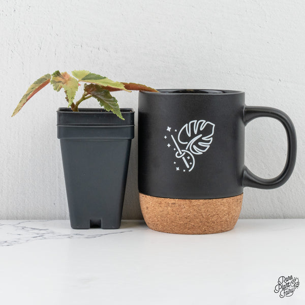 Begonia 'Ginny Galaxy' Variegated (wk4-F)