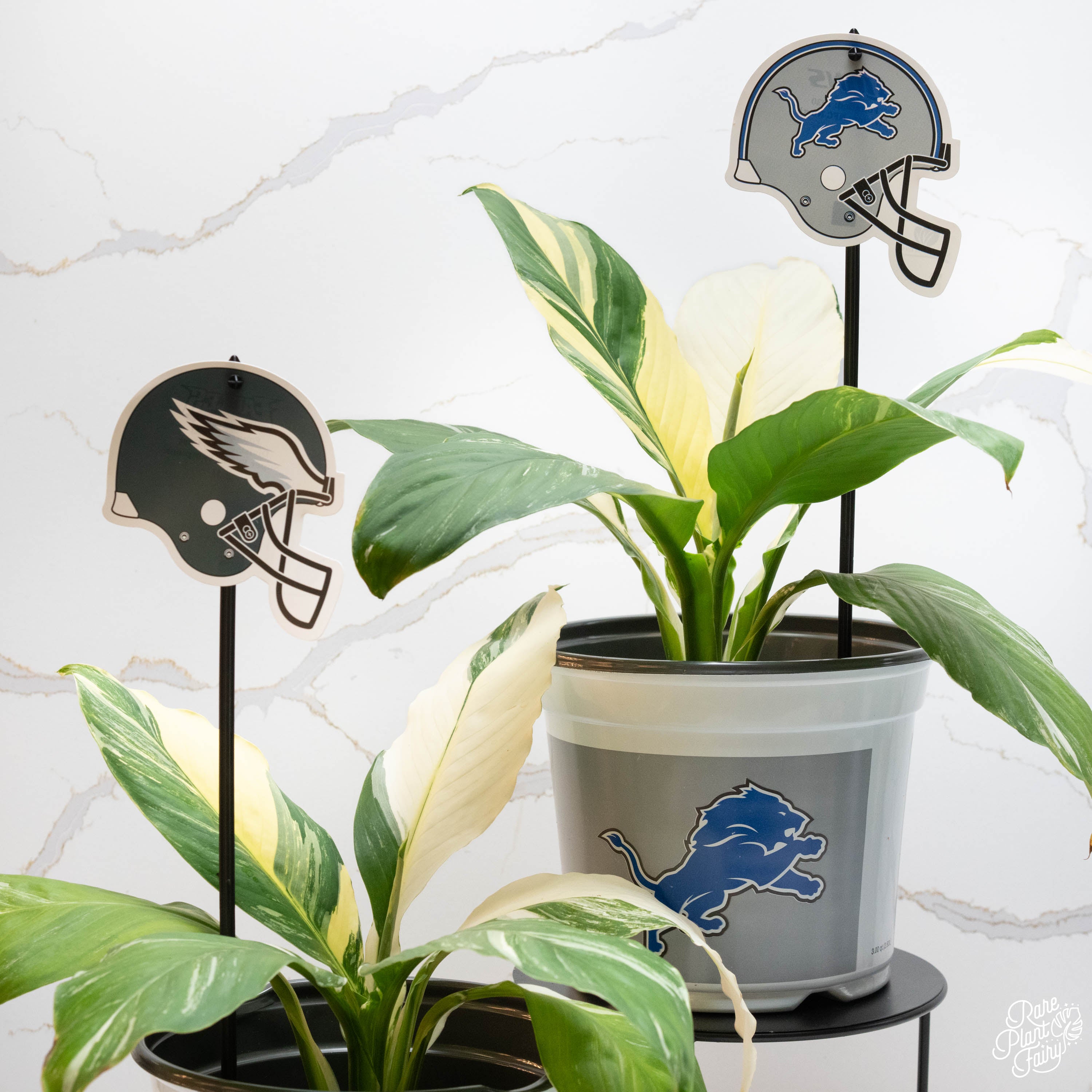 plant pots made in usa Detroit Lions 7.5 in Pots (Made in USA) 2pc/set