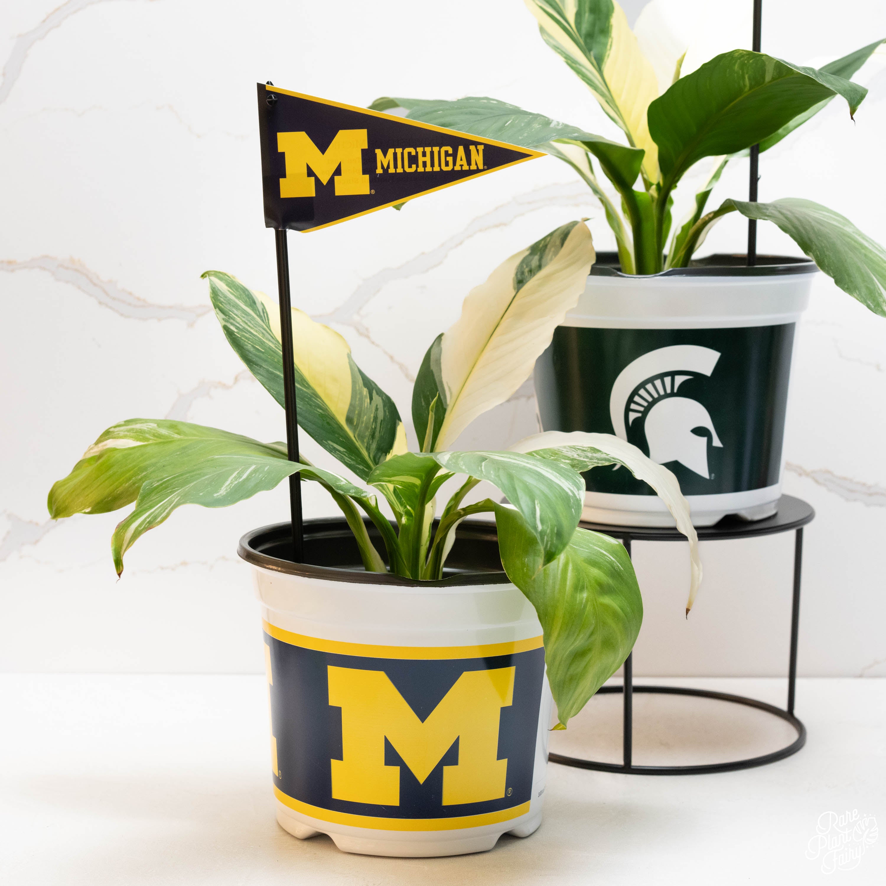 potted plant michigan city University of Michigan (UMich) 7.5 in Pots (Made in USA) 2pc/set