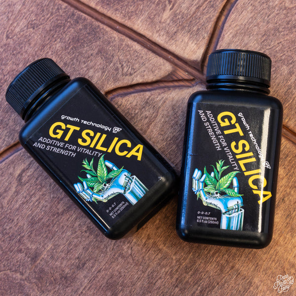 GT Silica Growth Technology