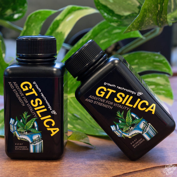 GT Silica Growth Technology