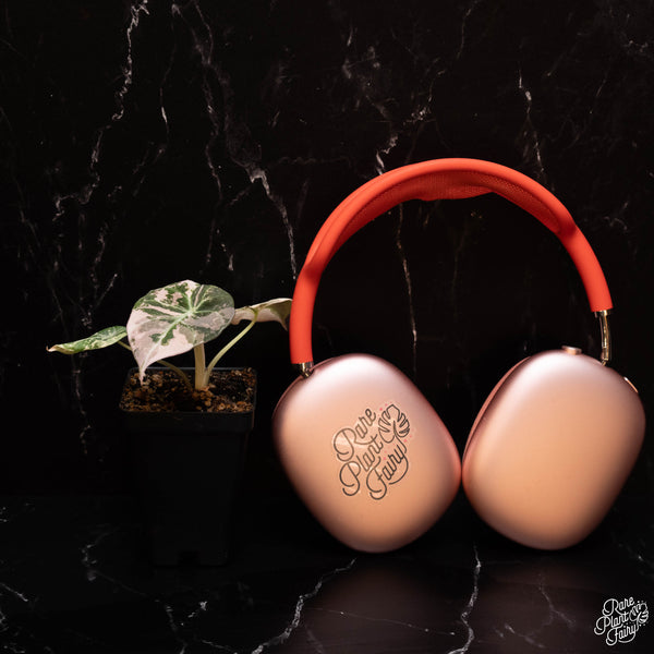 The Rare Pair (A. Black Velvet Pink + P. Caramel Marble) - Free Shipping!