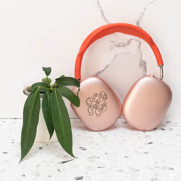 Anthurium wendlingeri seedling *Grower’s Choice*