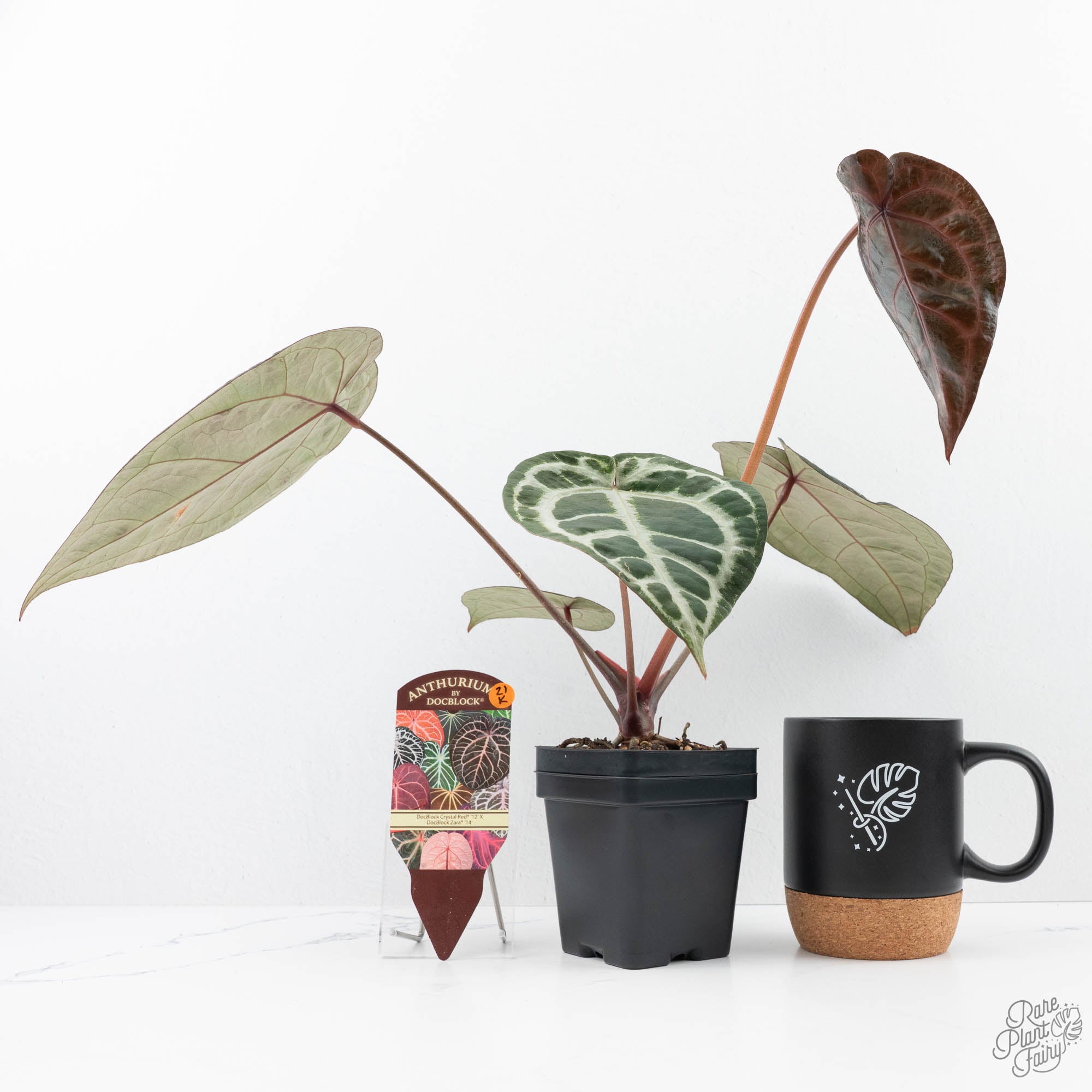 アレックス ALEX CE4 ピンクアルマイト Anthurium Crystal Red '12' x Zara '14' by DocBlock® (wk21-K