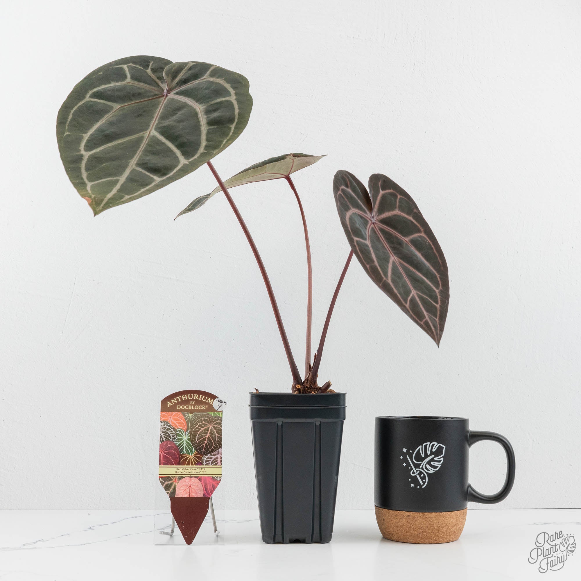 Anthurium Red Velvet Cake '24' x Home, Sweet Home '32' by DocBlock