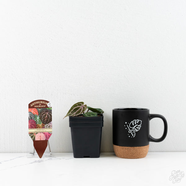 Anthurium Michelle '10' x Home, Sweet Home '32' by DocBlock® (wk10-W)