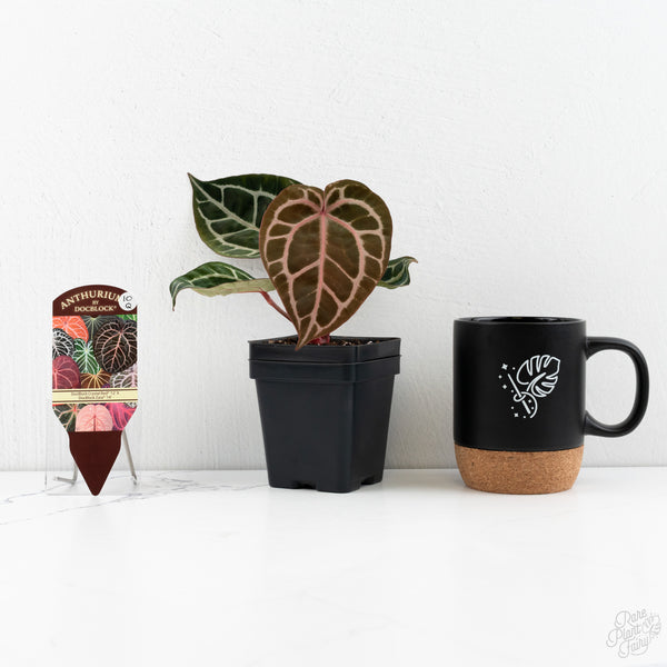 Anthurium Crystal Red '12' x Zara '14' by DocBlock® (wk10-Q)