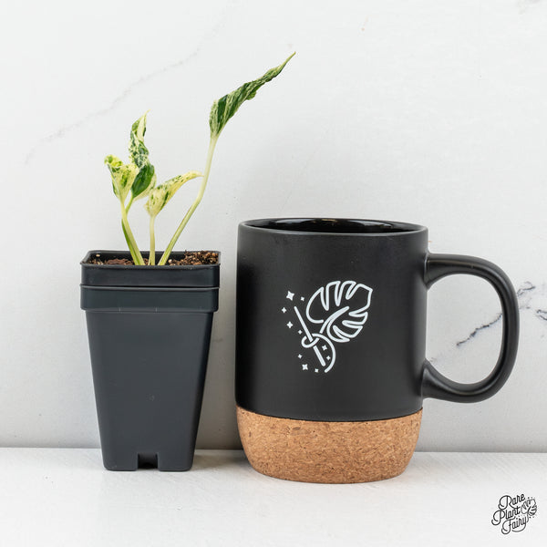 Epipremnum Teruno 'Love Song' Variegated (wk50-A)