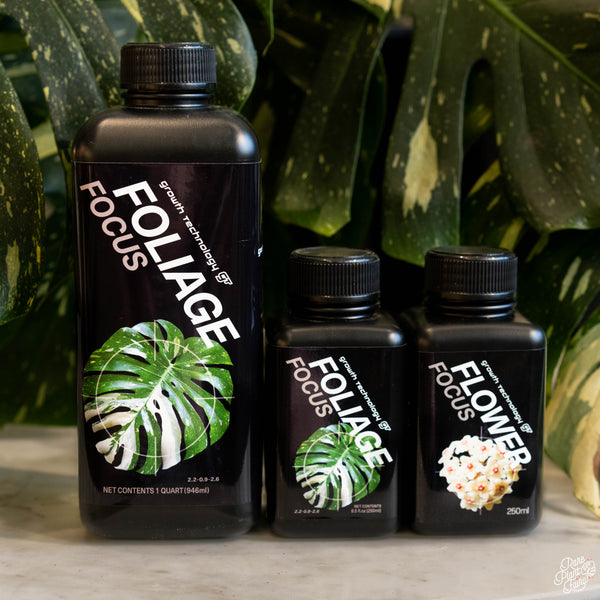 Flower Focus Growth Technology GT