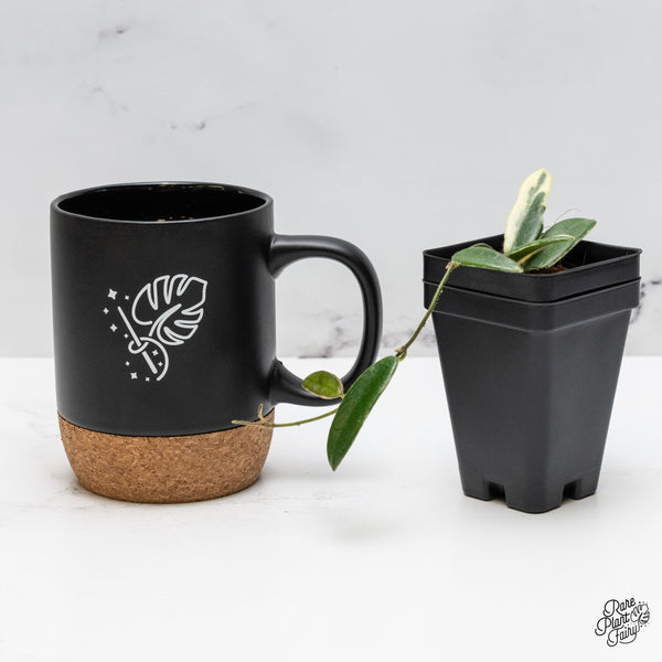 Hoya 'Lyi Prism' Pink Flower (wk49-C)