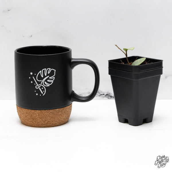 Hoya Mathilde Silver 'Grey Fairy' (wk49-F)