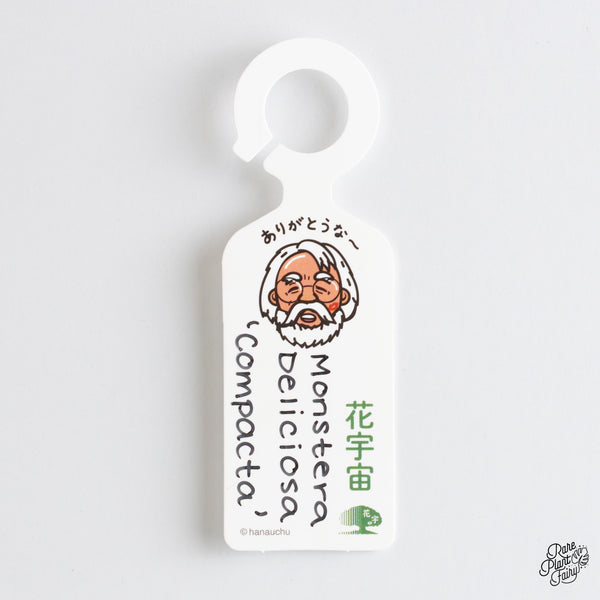 Monstera Deliciosa 'Compacta' with Kunzo Tags *Grower's choice*