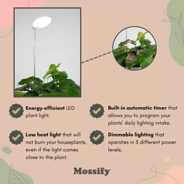 Mossify® Adjustable LED Plant Light