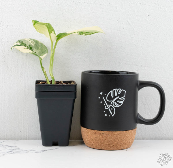 Monstera Acacoyaguensis Albo Variegated *Sectoral* (wk11-D)