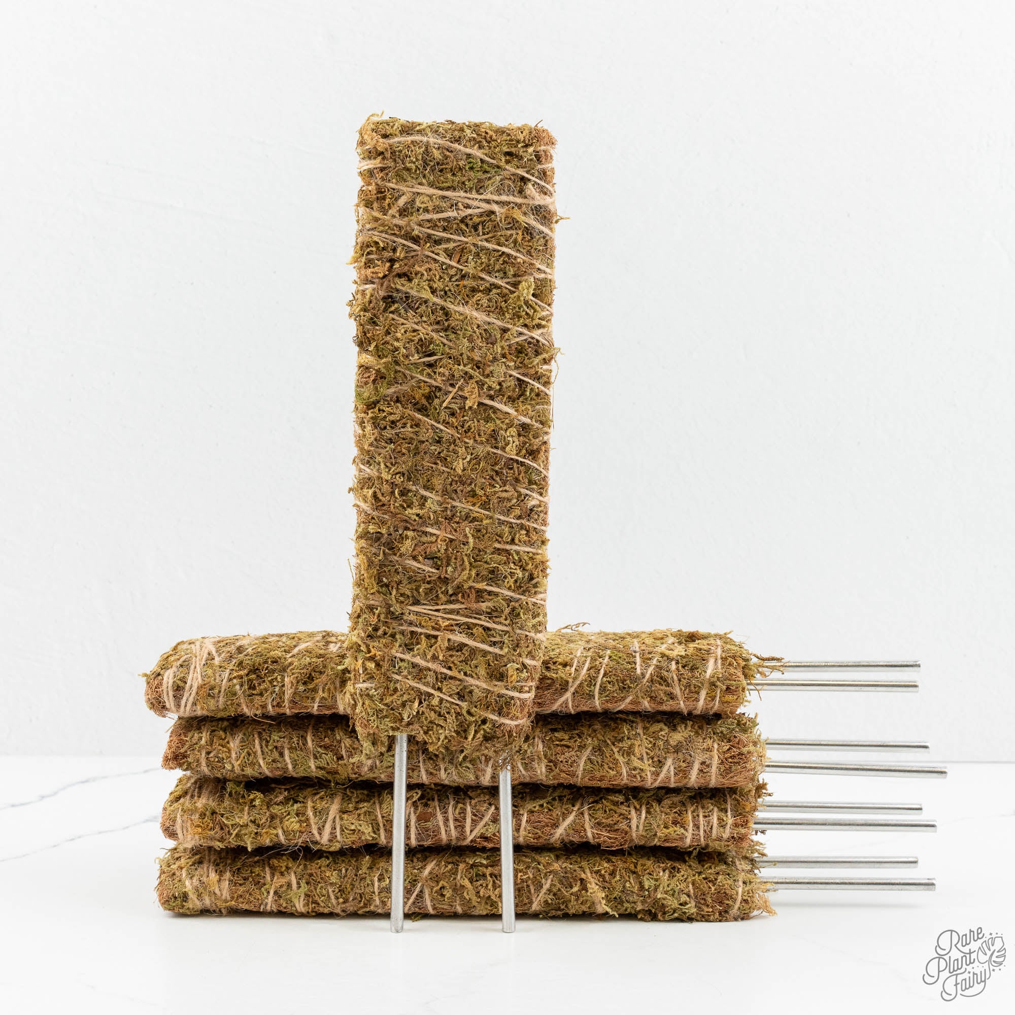 RPF Sphagnum Moss Planks – 12” (Set of 5) – Rare Plant Fairy