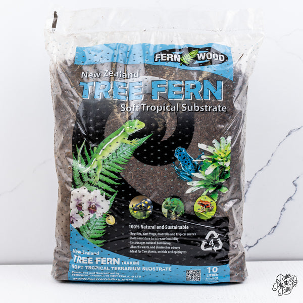 New Zealand Tree Fern Soft Tropical Substrate