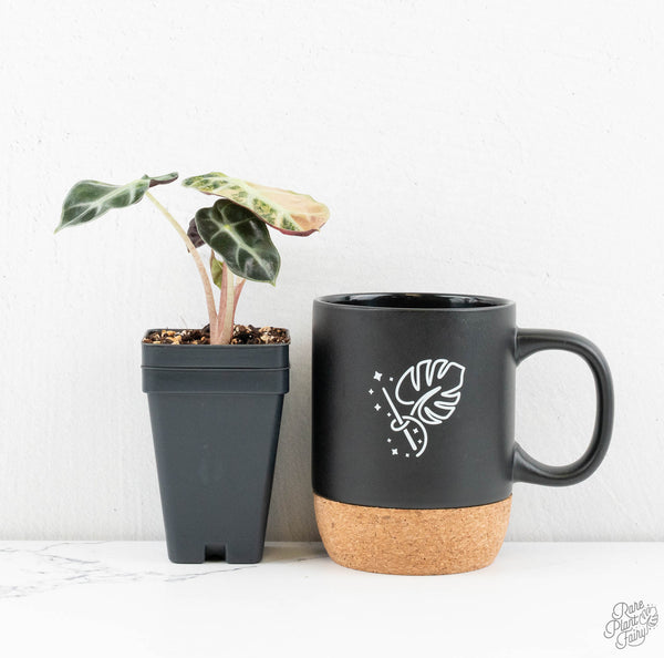 Alocasia 'Balloon Heart' Pink Variegated (wk11-I)